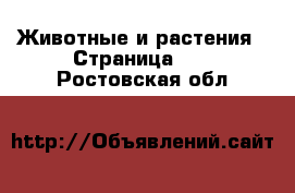  Животные и растения - Страница 10 . Ростовская обл.